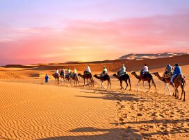 Iran Tour & Travel Services